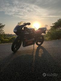Aprilia rs50