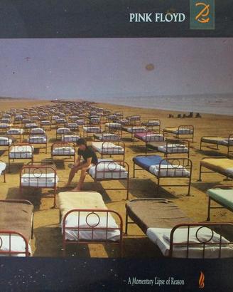 Pink Floyd – A Momentary Lapse Of Reason (vinile)