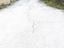 Immagine 7