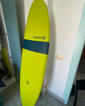 Tavola surf