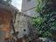 Immagine 11