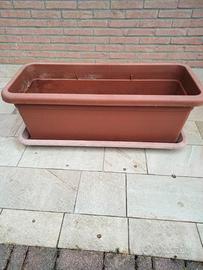 cassetta per piante