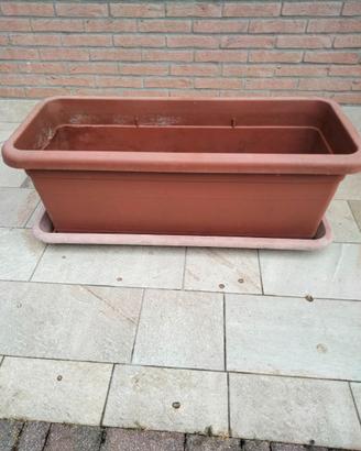 cassetta per piante