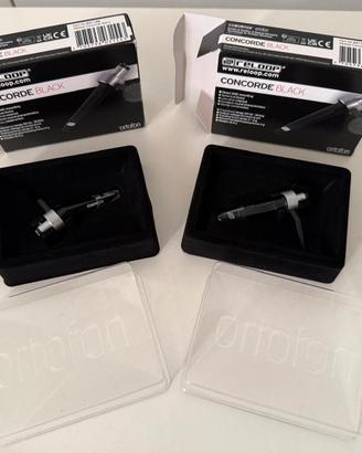 n.2 shell testine/puntine  “ RELOOP Concorde black