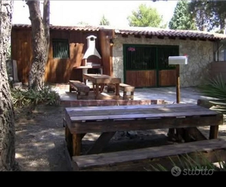 Villetta nel verde vista Etna Nicolosi