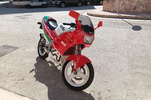 Aprilia af1 