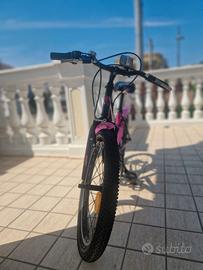 Bicicletta bambina 20” Dino Bikes – Cambio 6 veloc