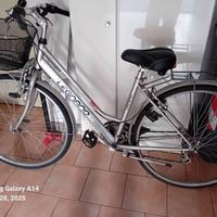 Bicicletta