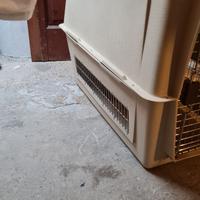 Cuccia trasporto cane tg media