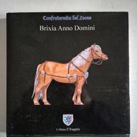 nuovo libro "brixia anno Domini"