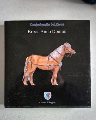 nuovo libro "brixia anno Domini"