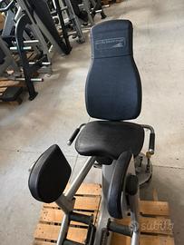 Life fitness abductor