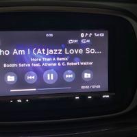 Multimedia per auto Sony XAV-AX3005DB