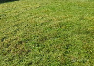 Terreno di 1200 m² a Thiene