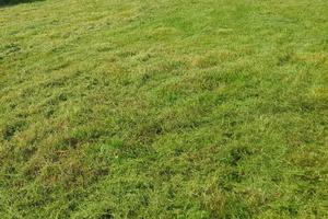 Terreno di 1200 m² a Thiene