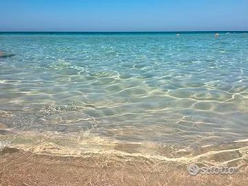 Lido Conchiglie 100 mt dalla spiaggia