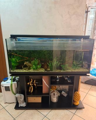Acquario