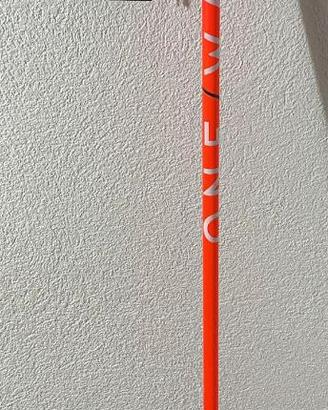 Bastoni sci fondo one way premio