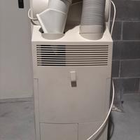 Climatizzatore mobile “carrier”