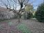 Immagine 21
