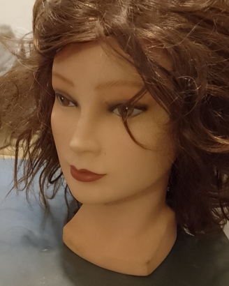 Modelle
