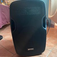 Cassa attiva Gemini As 12 P