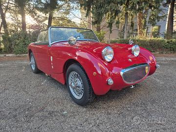 Auto d'Epoca Austin Healey Sprite MK1 del 1959
