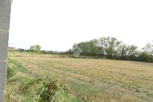 TER. AGRICOLO A DESIO