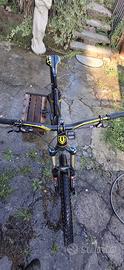 MTB MONTDRAKER