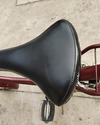 Bicicletta 26"