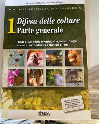 Libri