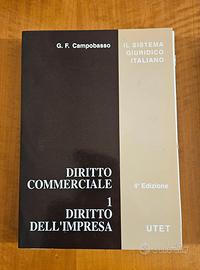 Diritto commerciale Campobasso vol. 1