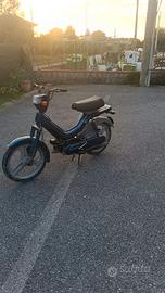 Atala Green