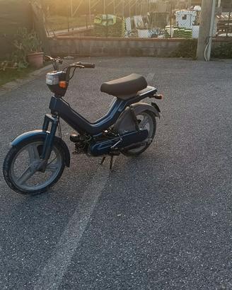 Atala Green