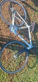 Bici ciclocross