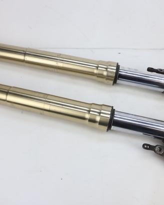 Steli forcella Marzocchi MV AGUSTA Brutale 750