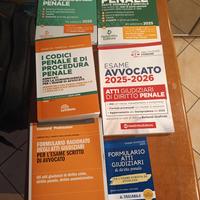 Codici pen. e proc. Penale+libri esame avvocato