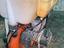 Immagine 6