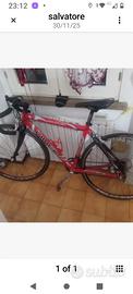 bicicletta Corsa carbonio 
