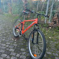 bicicletta