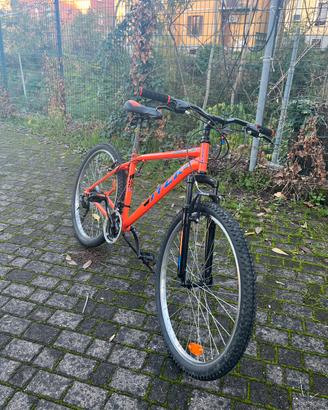 bicicletta