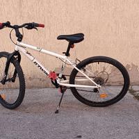 Bicicletta raggio24