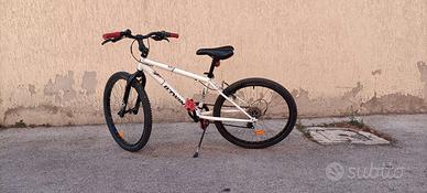 Bicicletta raggio24