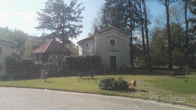 Spelendida villa immersa nel verde