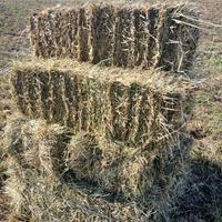 Ballette fieno balle foraggio