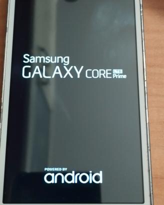 Samsung SM-G360F
