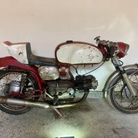 Aermacchi Harley Davidson 250 N (ala verde)