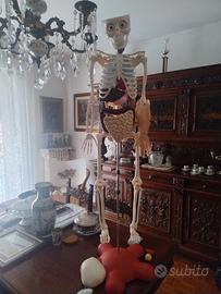 corpo de agostini