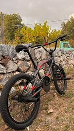 Bici BMX