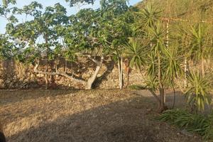 Proprietà sul mare a favazzina